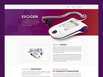 Website Design