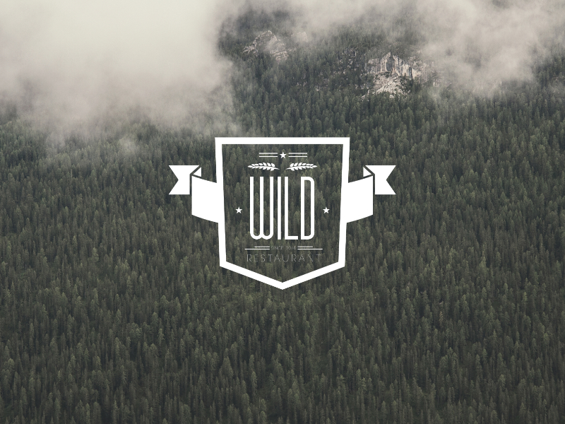 Wild logo. Дикий логотип. Тарков логотип диких. Телеканал дикий логотип. Visionary Wild logo.