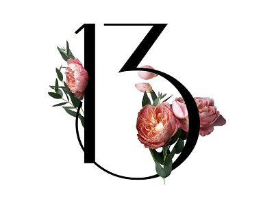 13 13 brand branding colour design flowers font logo photoshop type