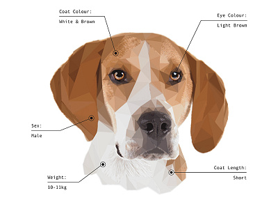 Poo Petrator n.1 beagle cgi characteristics dna dog portrait press puppy shame