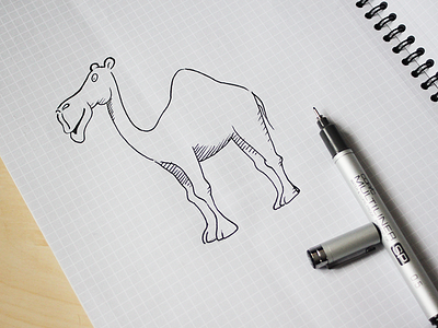 Camel camel drawing illustration marketing pen