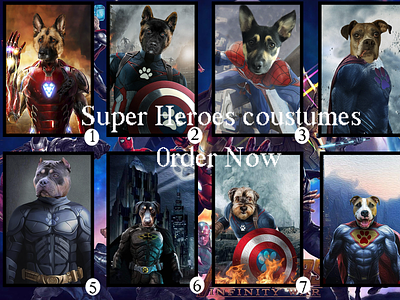 super heroes pet portrait