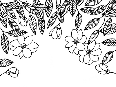 Magnolia Coloring Page adult and black book coloring floral flowers line art white
