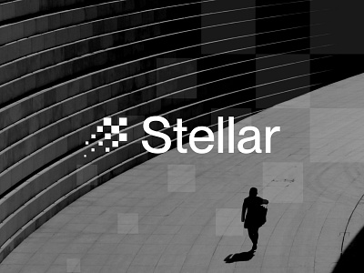 Stellar branding design logo typography