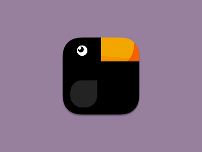 Curious Crow animal app app icon bird crow icon ios