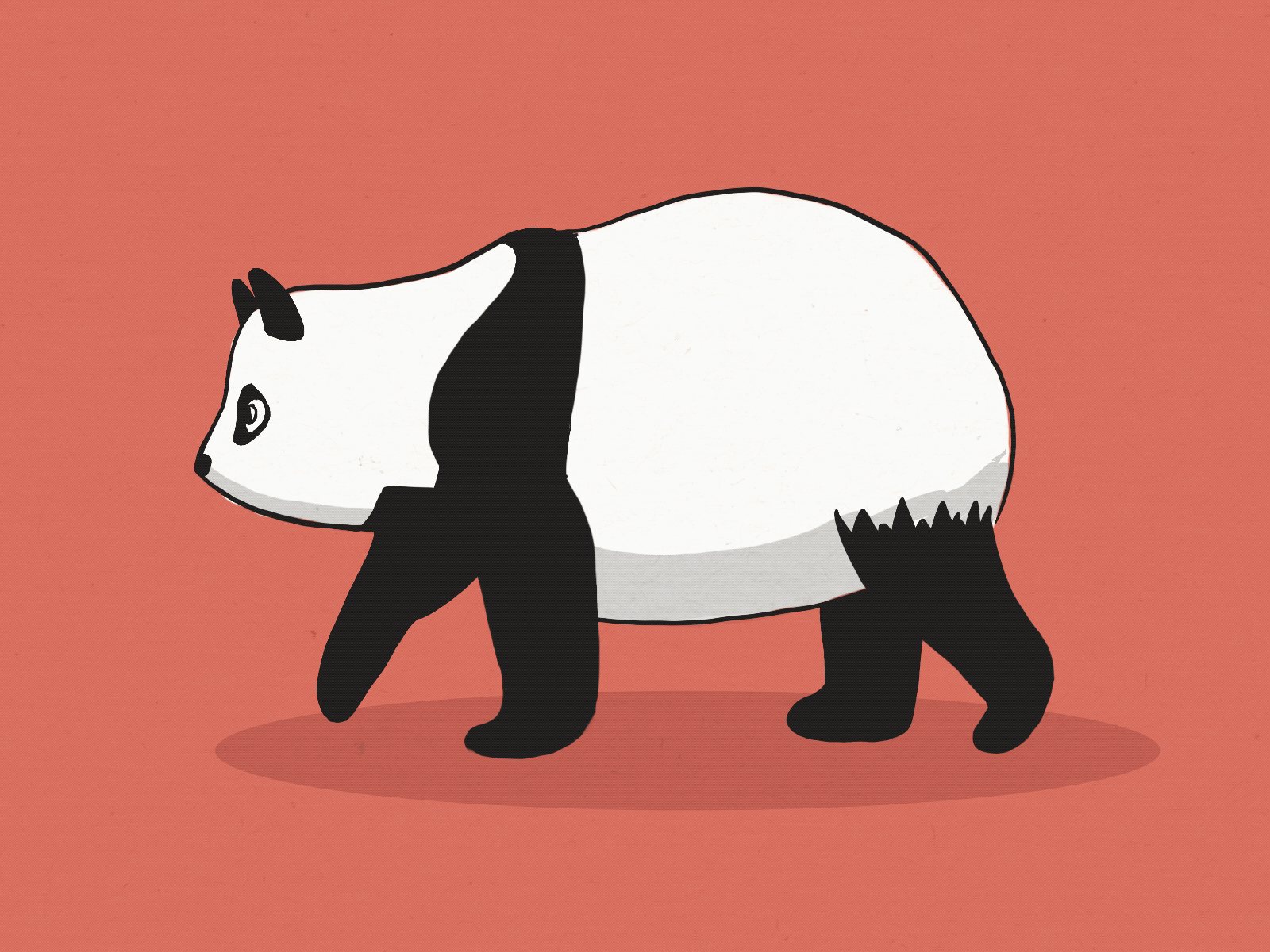 Panda Walking Sequence animation illustration panda