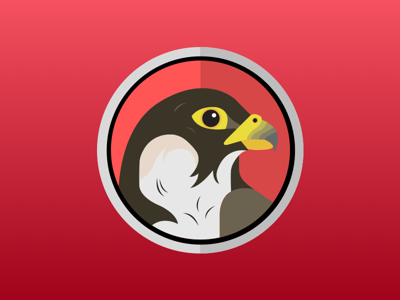 Falcon Release bird illustration falcon