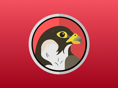Falcon Release bird falcon illustration