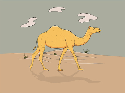 Camel arabian camel desert sand