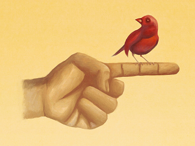 Red Bird bird hand red