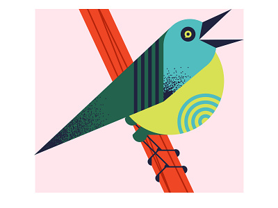 Singing bird graphic design illustration vector