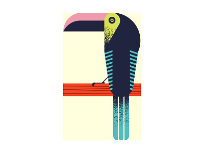 Observer Toucan design illustration vector