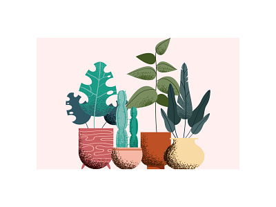 House plants design graphic design illustration vector
