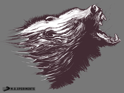 The Wild - Bear animal art bear brown complex digital art experiment furious grey illustration mad pattern poster print design roar vector wild