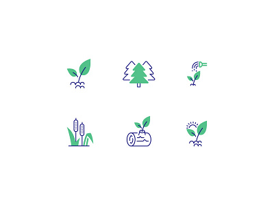 Environment Icon Set