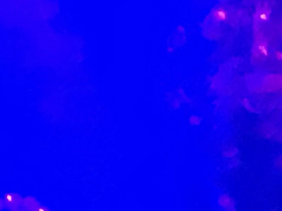Silence abstract art blue blur deconstruction fuchsia inspiration look me mood pink stare