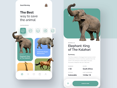 Kewan - Animal Conservation App animal app charity conservation dashboard donate donation forest ios mobile app pet sketch ui ux