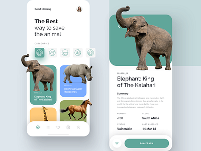 Kewan - Animal Conservation App by Piko Rizky Dwinanto for One Week ...