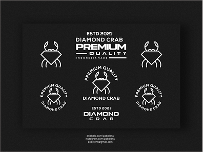 Diamond Crab Concept Logo branding care logo