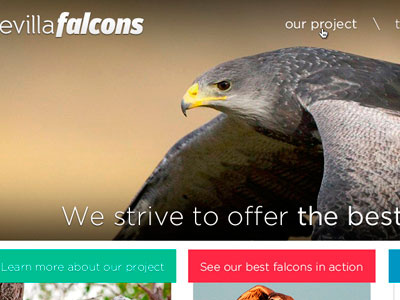 Falcons homepage falcons gotham homepage photoshop ui web design wip
