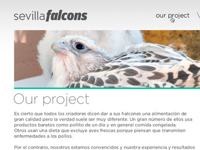 Falcons section falcons gotham homepage photoshop ui web design wip