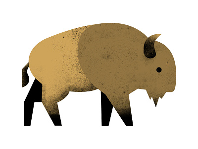 Buffalo art artwork buffalo design graphicdesign illustration texture vector