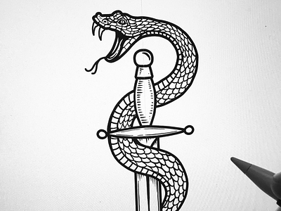 Snake on knife cobra knife procreate sketch snake tattoo viper