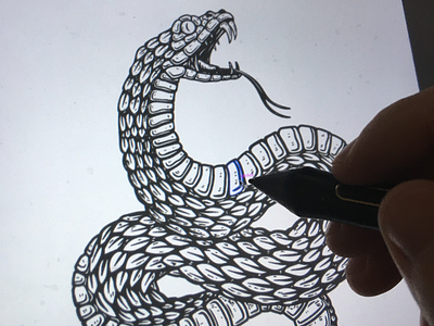 Drawing snake in @procreate engraving ipad pro poison procreate sketching snake venom viper