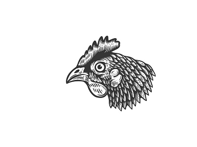 Chicken head in engraving style