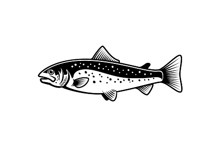 Trout icon design fish fishing illustration logo trout vector vintage