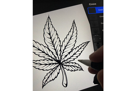 Cannabis leaf. Sketching in procreate cannabis illustration marijuana mj procreate sketch sketching