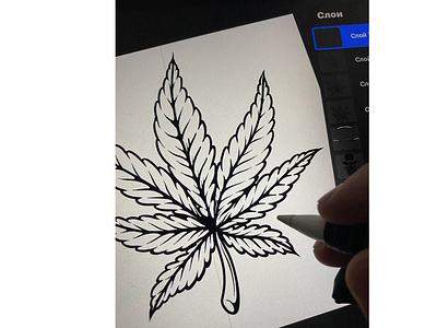 Cannabis leaf. Sketching in procreate
