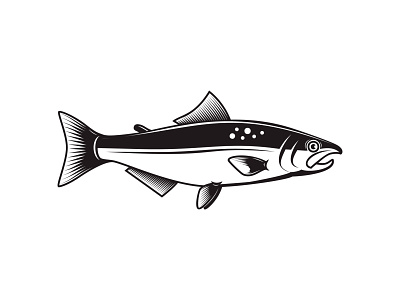 Trout icon fish fish logo fishing icon illustration logo logo design salmon salmon logo trout vecttor