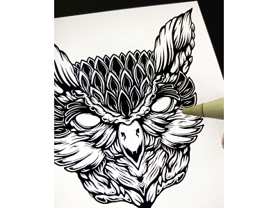 Owl. Skeching in Procreate art branding drawing process engraving illustration owl procreate vintage