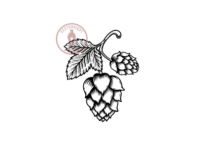 Hop branch in engraving style.