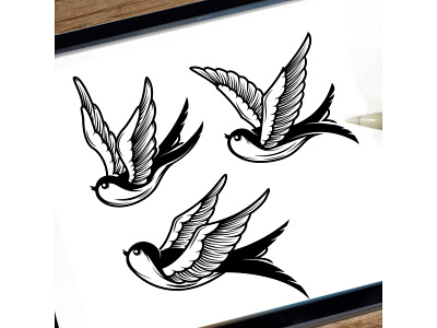 Swallow birds. bird logo logo design procreate swallow swallow bird tattoo vector