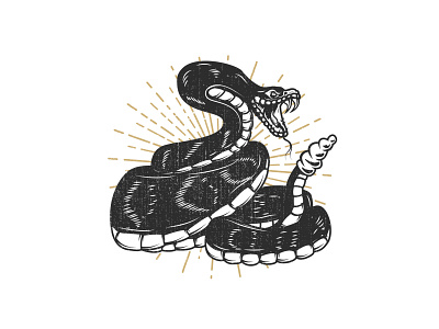 Viper design graphic design illustration procreate snake vector vintage viper