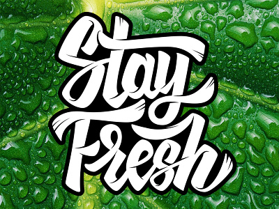 Stay Fresh brush lettering eco fresh green hand lettering lettering stay fresh vector