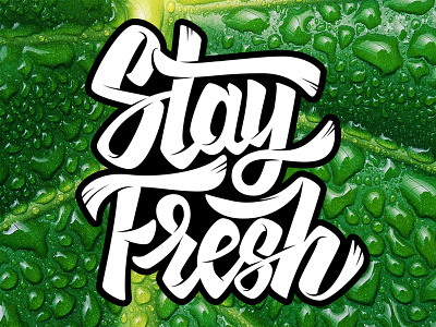 Stay Fresh