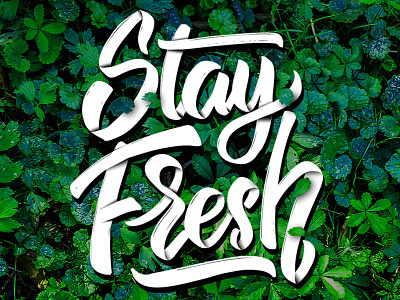 Stay Fresh 3d eco fresh garden green lettering stay fresh