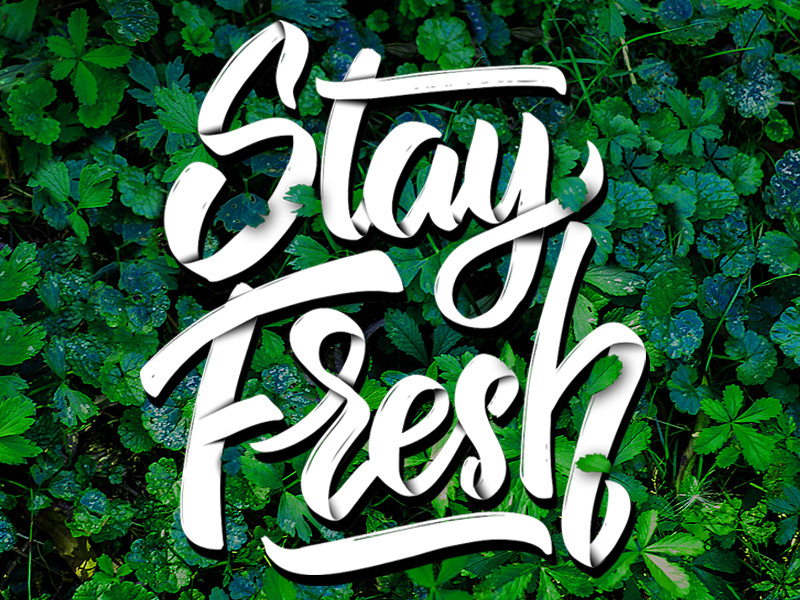 Stay Fresh by Kotliar Ivan on Dribbble