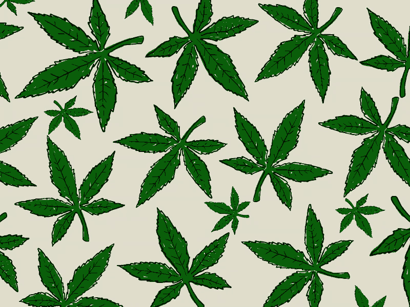 cannabis leaf animation animation cannabis frame by frame fun leaf marijuana rasta weed