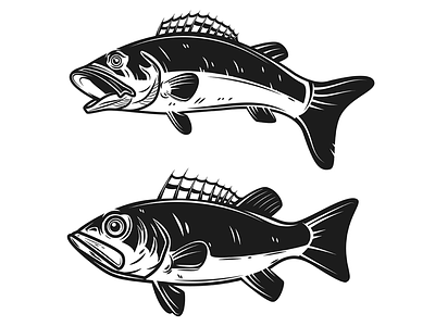 Bass fish bass fish fish fishing logo perch vector