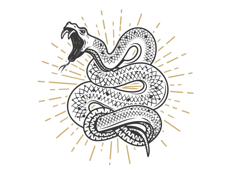 Snake t shirt print danger logo pencil art reptile poison venon viper snake