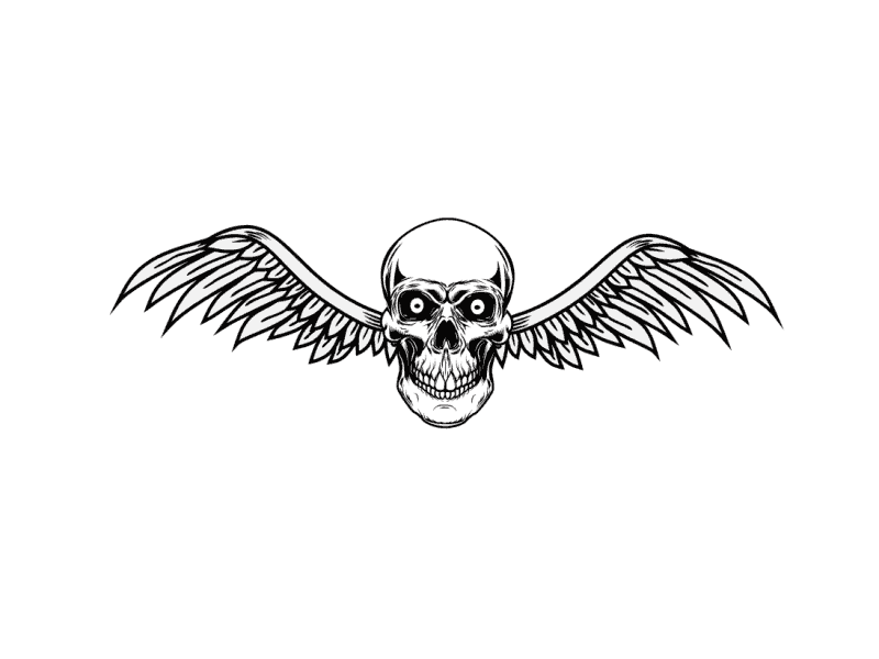 Skull with wings