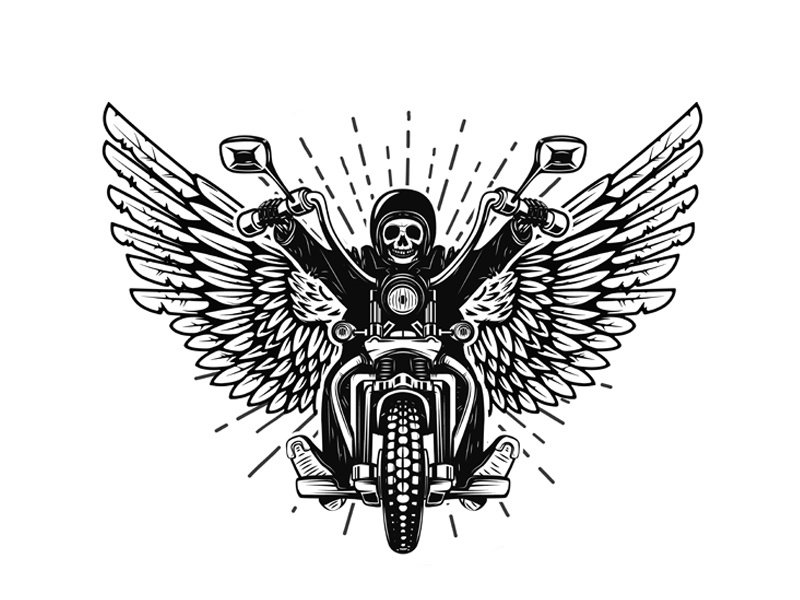 skeleton on winged motorcycle rider ride anarchy vector chopper motorcycle biker racer skull skeleton