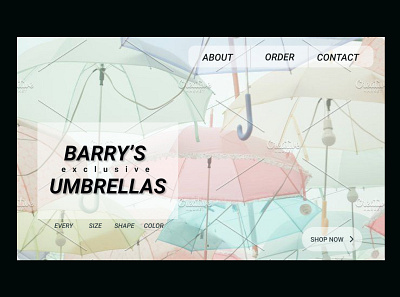 Barry's Umbrellas branding dailyui day3 logo ui