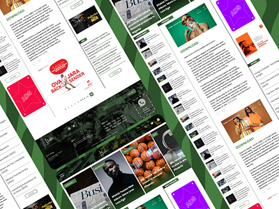 News Blog - web design figma frontend developer graphic design new blog ui user interface webdevloper