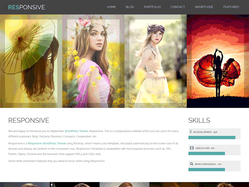 Responsive - WordPress Theme