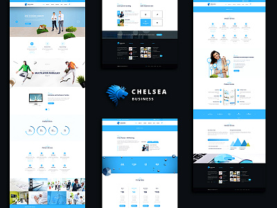 Chelsea - Multi-Purpose Business WordPress Theme bootstrap bunsiness website company website corporate website css3 download html3 html5 parallax wordpress wordpress theme